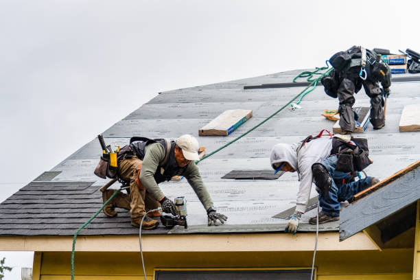 Professional Roof Inspection technician working in Hills, MN
